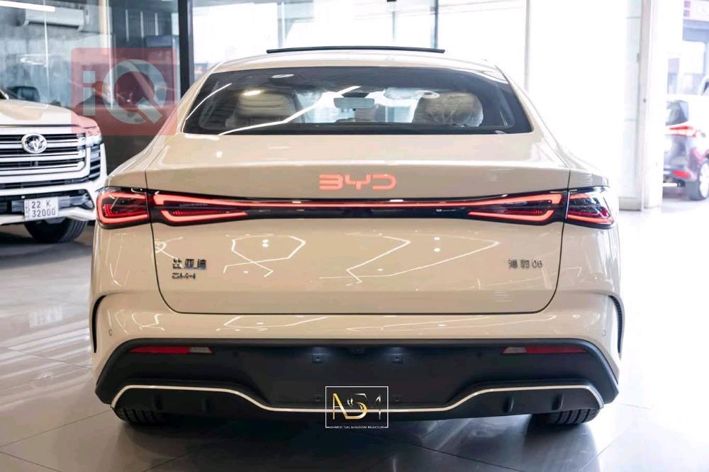 بي واي دي سيل 06 DM-i